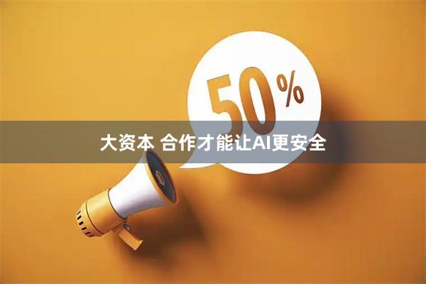 大资本 合作才能让AI更安全